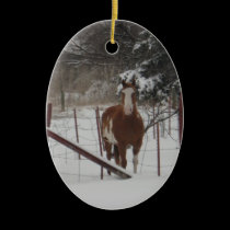 Stepper In The Snow Ornament ornaments