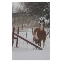 Stepper In The Snow Custom Stationery