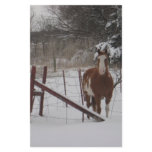 Stepper In The Snow Custom Stationery