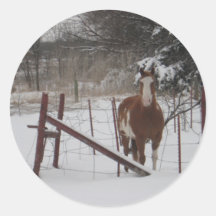 Stepper In The Snow Stickers