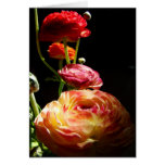 Stepping Stones Greeting Card
