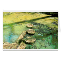Stepping Stones Cards