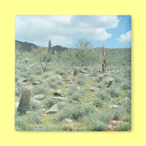 Stepping Stones Decorative Refrigerator Magnet magnets