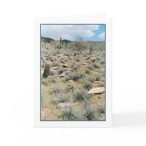 Stepping Stones Greeting Card by donnabellas Stepping Stones Greeting Card