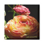 Stepping Stones Fridge Magnet