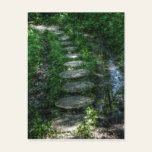 Stepping Stones Postcard
