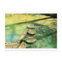 Stepping Stones Post Card