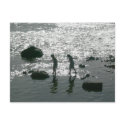 Stepping Stones postcards by artberry Stepping Stones postcards