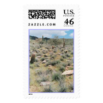 Stepping Stones Stamp