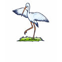 Steppy Stork t-shirts by BisforBirds Steppy Stork t-shirts