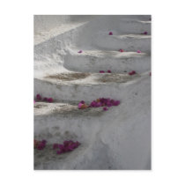 Steps postcards