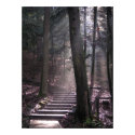 Steps to Enlightenment posters by DigitalDiva55 Steps to Enlightenment posters