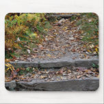 Steps to the Applaachian Trail mousepads