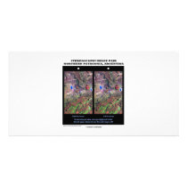 Stereoscopic Image Pair Nrthn Patagonia Argentina Custom Photo Card