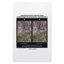 Stereoscopic Image Pair Nrthn Patagonia Argentina Custom Stationery