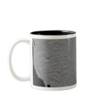 Stereoscopic view of North America 2 mugs