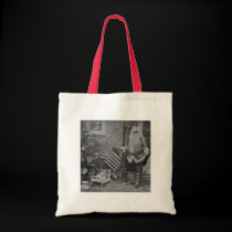 Stereoview Santa & American Flag ca 1901 bags