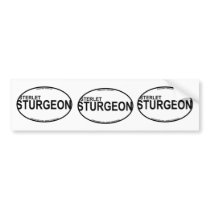 Sterlet Sturgeon Euro Stickers Bumper Sticker