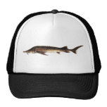 Sterlet Sturgeon Hat