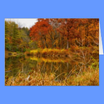 Sterling Pond cards