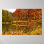 Sterling Pond Print