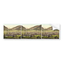 Sterzing, Tyrol, Austro-Hungary rare Photochrom Bumper Stickers