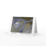 Steve&amp;apos;s pond moss, Steve's Pond       ... Card
