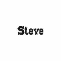 Steve Polo Shirt embroidered shirts