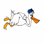 Steve Stork