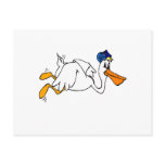 Steve Stork Postcards