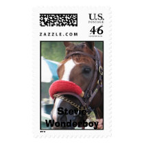 Stevie avatar postage