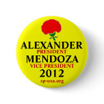 Stewart Alexander 2012 Pins