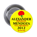 Stewart Alexander 2012 Pins