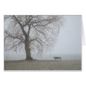 Stewart Park, Cayuga Lake cards