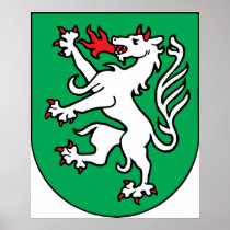 steyr, Austria Poster
