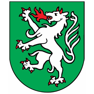 steyr, Austria T Shirts by bestflag