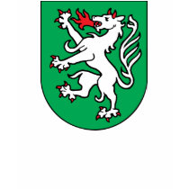 steyr, Austria t-shirts by bestflag steyr, Austria t-shirts