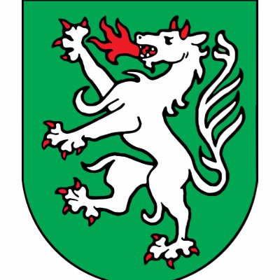 steyr, Austria Polo Shirt by bestflag