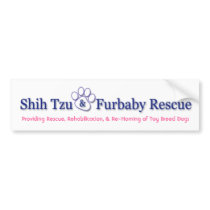 STFBR Bumper Sticker bumper stickers