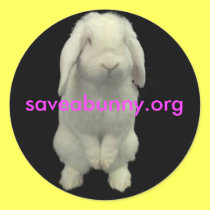 Stick up For Bunnies stickers