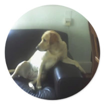 stickers by Moondial stickers