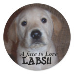 Sticker , A face to Love  , LABS!!