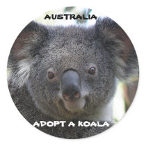 Sticker Adopt A Koala Australia ZIZZAGO by shanmaree Sticker Adopt A Koala Australia ZIZZAGO