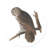 Sticker: Audubon - Great Gray Owl