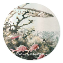 Sticker / Barracuda and Reef Fishes