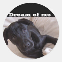 Sticker, Dream of me