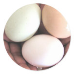 Sticker, Eggs Nested in Hands, Photo Art