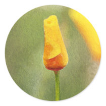 STICKER - Painted Poppy