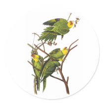 Sticker: Parakeet - by John Audubon