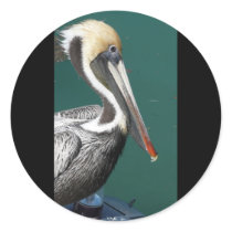 Sticker - Pelican by PinkMonkey_8 Sticker - Pelican